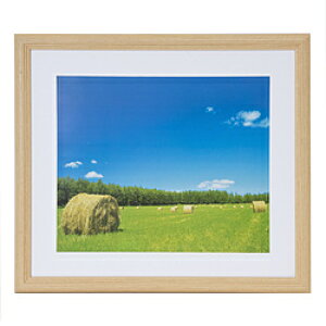 tWJ[ ؐz YM-3 i4/ؒn ANj YM3