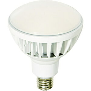 �����H�� �����@LED�������@�n�C�X�y�b�N�G�R�r�b�N50W�@E39�@�{�̔� L50V2-J110W-50K L50V2J110W50K