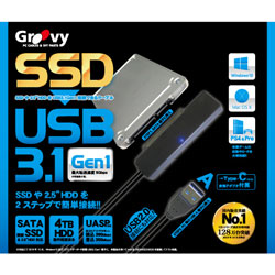 GROOVY HDD簡単接続セット SATA 2.5インチSSD HDD専用 日本全国送料無料 海外限定 ⇔ USB-A ブラック USB-C UD-3101P UD3101P 接続ケーブル gen1 USB3.1