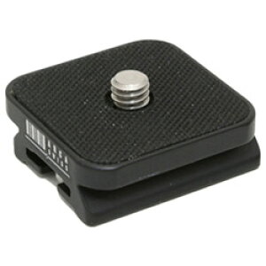 AJXCX Jv[g m{[tBbNX 32 jo[T 󒍐Y_LZ/ԕis [s]