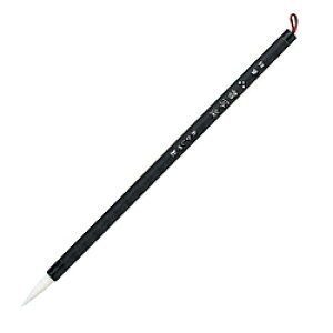  ʊy ASP-51 ASP51