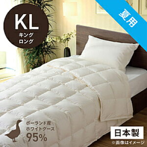 эH[ |HѕzcuтӂƂv PR410-B2 [LOO(230×230cm) /ėp /|[hYzCgO[X_E95 ] PR410B2_KL_NA yLZsz