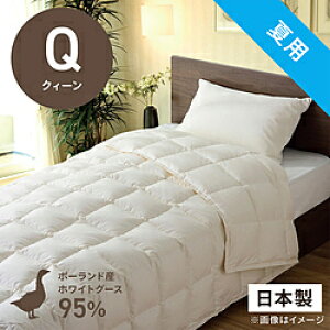 эH[ |HѕzcuтӂƂv PR410-B2 [NB[(210×210cm) /ėp /|[hYzCgO[X_E95 ] PR410B2_Q_NA yLZsz