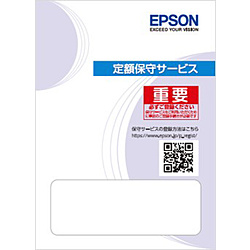 EPSON(エプソン) エプソンサービスパック 出張保守購入同時3年 HDS5313 HDS5313：ソフマップ デジタルコレクション
