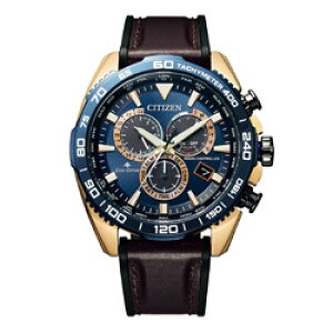 V`Y PROMASTERiv}X^[j GREhCudgv m\[[dgvn LANDV[Y _CNgtCg u[/uEiJ[tvj CB5039-11L CB503911L