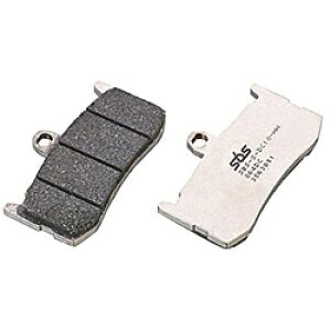 L^R 777-0864081 SBSu[Lpbh 864DC 675DAYTONAiTRIUMPHj 7770864081