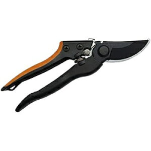 i DAISHIN OX  DAISHIN