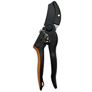 i DAISHIN OX Ar^ DAISHIN