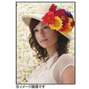 EPSON(エプソン) 【純正】 プロフェッショナルフォトペーパー<厚手光沢>(約406mm幅×30.5m) PXMC16R1 PXMC16R1