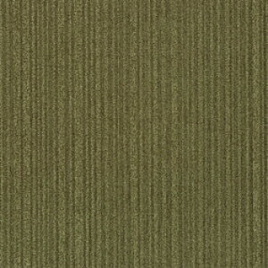 �V���R�[�� �^�C���J�[�y�b�g TES 1203 (20) 94005265