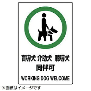 jbg jbg@JISKiPVCXebJ[@ӓ@150X100@5g 80358