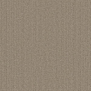�V���R�[�� �^�C��C�m���c�L PAN 1259 (16) 94005348