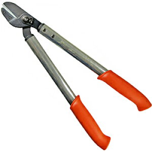 a LOWE CI } 50cm LOWE E20050