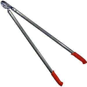 a LOWE CI } 100cm LOWE E200100