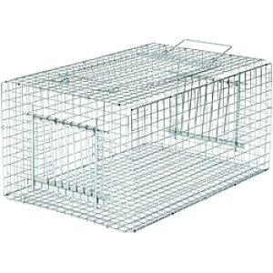 �h�H�� �h�q���Y �o�[�h�g���b�v RF1 �h�q���Y E-01