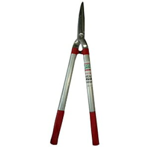 i EVER GREEN XeX pCv EVER GREEN