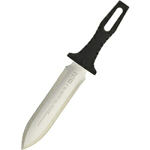 xcn m RS AEghAiCt m No.801