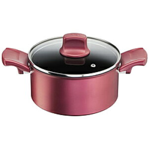 T-FAL IHルージュ・アンリミテッドシチューポット G26244 G26244