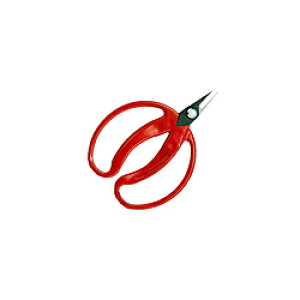 AXR[|[V ̎ȁi|܁j 430 #430