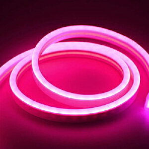 ROYAL MONSTER LED�l�I�����C�g12V�X�g���b�v5mRD ROYALMONSTER ���b�h RM-NEON5RD RMNEON5RD
