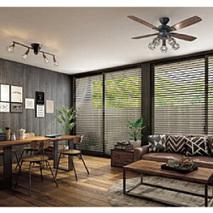 d@ LEDV[Ot@ ASL-516 mRtn ASL516