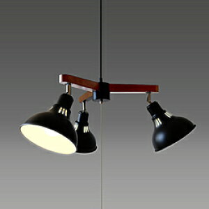 Z LEDVfA LEDdt@dF GL3065CHBK m4.5 /dFn GL3065CHBK