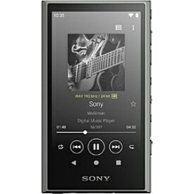 SONY(ソニー) ウォークマンWALKMAN2023年モデル グレー NW-A307 HC ［ハイレゾ対応 /64GB］ NWA307HC