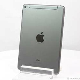 【中古】Apple(アップル) iPad mini 第5世代 256GB スペースグレイ MUXC2J／A SIMフリー【291-ud】