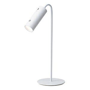 �C�V�O�� 4WAY Light �z���C�g 20988 �mLED�n 20988