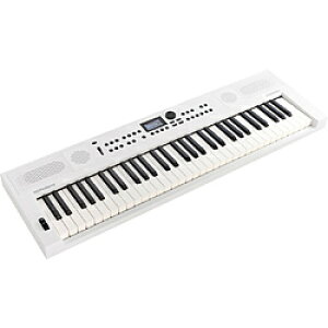 ROLAND �d�q�L�[�{�[�h �z���C�g GOKEYS5-WH �m61���Ձn GOKEYS5WH