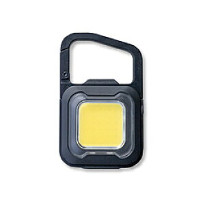 TV [d ҂ MINI LIGHT }bgubN WRC23-BK mLED /[d /hΉn WRC23 y864z