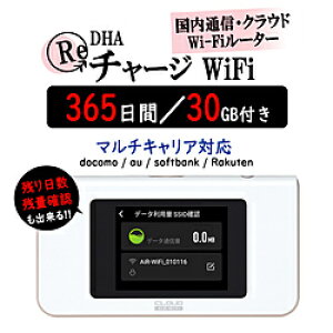 DHA DHANEhWi-Fi[^[ + 30GB365ʐMpbN DHA-RTR-038 mimSIMn DHARTR038