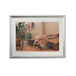 Nakabayashi ʐ^z Chlcؔ FSP112SV