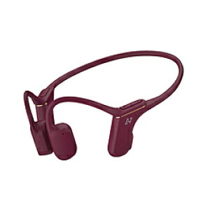 AVIOT `Cz bh WB-P1-RD mlbNoh /BluetoothΉn WBP1RD y864z