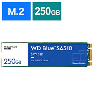 Western Digital SSD WD Blue SA510 WDS250G3B0B m250GB /M.2n WDS250G3B0B