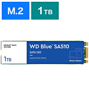 Western Digital SSD WD Blue SA510 WDS100T3B0B m1TB /M.2n WDS100T3B0B [Us]