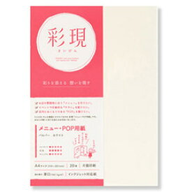 PCM竹尾 彩現 メニュー・POP用紙 パルパー ホワイト（A4×20枚） 1741998 1741998