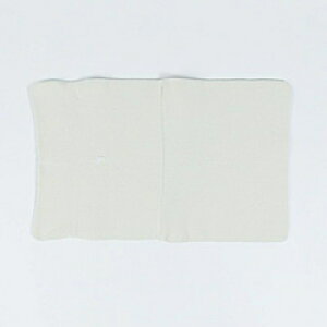 AhS[ square W for laptop `En^CvFm[gPCp X^[Cg G04SWLSL G04SWLSL