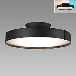 �z�^���N�X LED�V�[�����O���C�g �m8�� /�����F�`�d���F /�����R���t���n HLDC08A445KSG