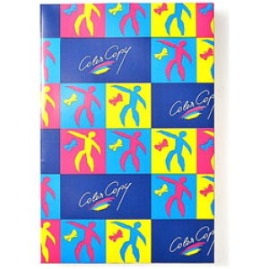 ɓ nCp[[U[zCg iA3mr^100gE500j@HP701 HP701