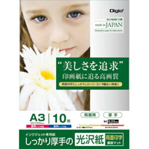 Nakabayashi �C���N�W�F�b�g�p�� ����PX�V���[�Y�iA3/10���j�@JPPX-A3S-10 JPPXA3S10 �y852�z