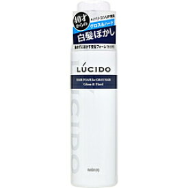 マンダム 【LUCIDO（ルシード）】白髪用整髪フォームグロス＆ハード（185g）〔スタイリングフォーム・ムース〕 【864】
