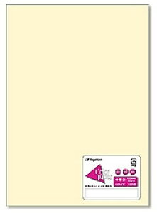 剮X gJ[y[p[h   iA5TCYE100j@i-5202