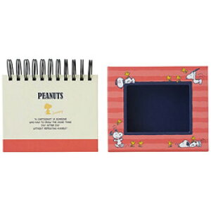 Nakabayashi Xk[s[ tHgNt[P[XAoLisNj AFTPC2021