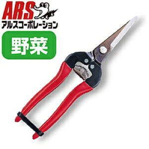 �A���X�R�[�|���[�V���� �E����L 300L