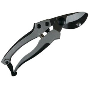 i DAISHIN@EG@A~_CLXg@Ar^@502136 502136