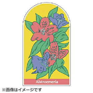 jbg jbg@WCV[@AXgA@rXebJ[@700×400 912-25 8156 91225