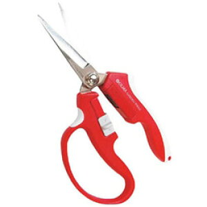 TV I} }Olbg ،^iԁj MG2R