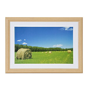 tWJ[ ؐz YM-3 iCh6/ؒn ANj YM3