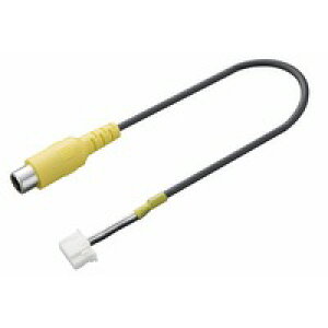 �y�p�C�I�j�A Pioneer�z�p�C�I�j�A RD-C100 �J�����[�q�ϊ��R�l�N�^�[